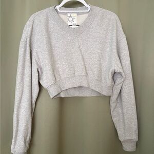 Aerie Gray Cropped Sweatshirt